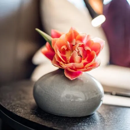 מלון Restaurant Torkel