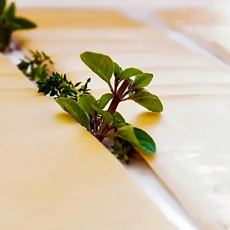 Restaurant Torkel