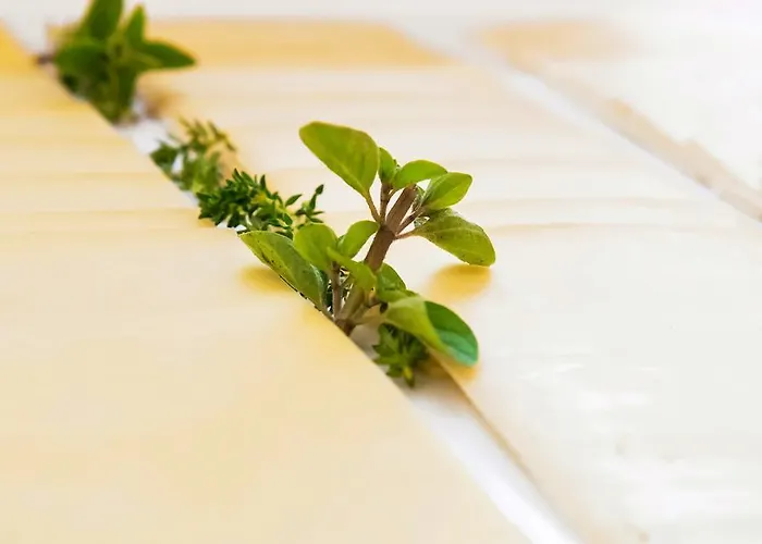 فندق Restaurant Torkel نوننهورن